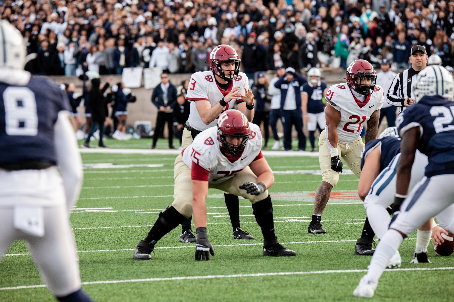 Junior quarterback Luke Emge readies for the snap in Harvard's 34-31 victory over Yale on Nov. 20, 2021.