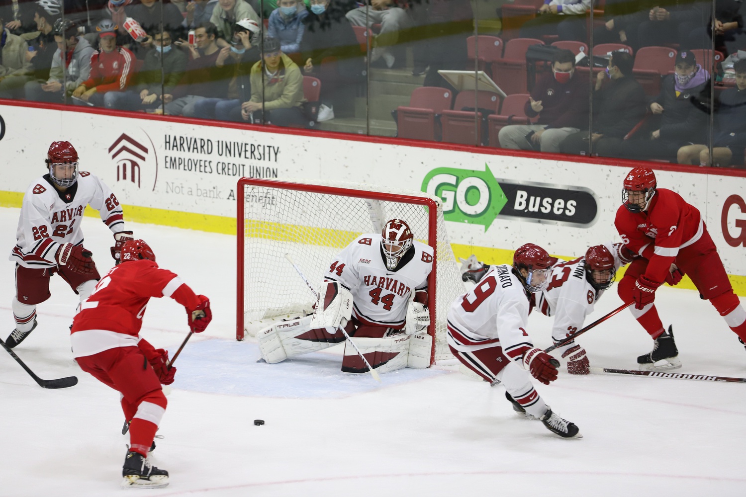 Harvard men's ice hockey faces off against Cornell in a nail-biter on Nov.5, 2021. Junior goalie Gibson made 36 saves, paving the way for the 3-2 win.