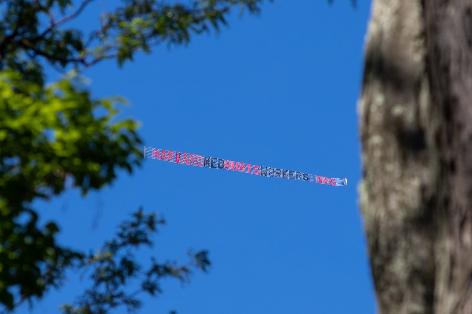 A plane flew over Sunday's Commencement ceremony pulling a sign protesting Harvard's treatment of its workers at the Medical School.