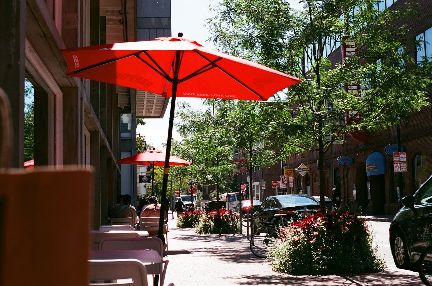 There are countless options for dining in Harvard Square.