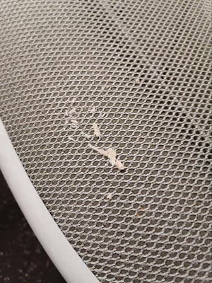 Cover image for dirty cabot chair