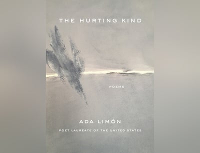 Cover image for ‘The Hurting Kind’ Review: The Power of Living an Observant Life