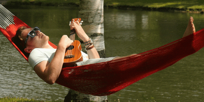 Cover image for Flyby's Guide to Outdoor Studying