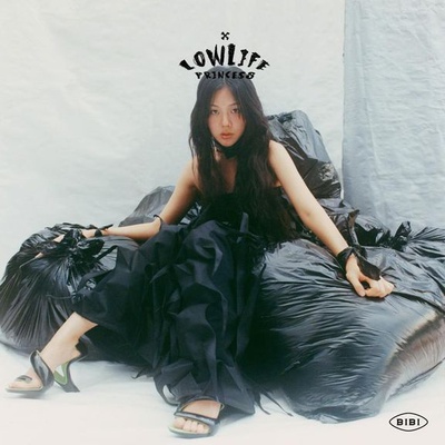 Cover image for bibi cover art