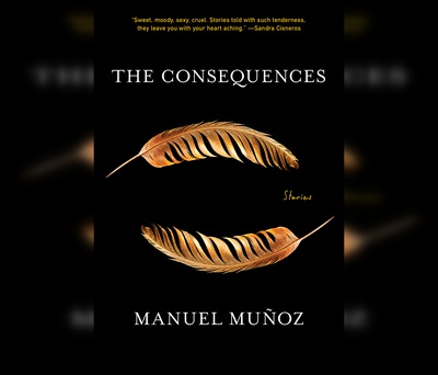 Cover image for "The Consequences" cover