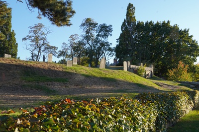 Cover image for Salem 3