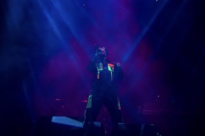 Cover image for EarthGang TD Garden gallery 2-3