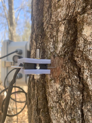 Cover image for Witness Tree Sensor