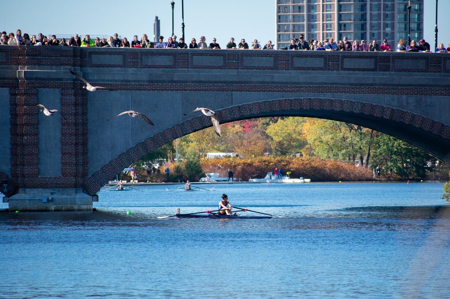 Spectators watch from above as competitors in the Head of the Charles Regatta pass by.
