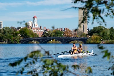 Cover image for Head of the Charles Rowers in Front of Dunster House and Weeks Bridge