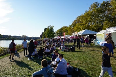 Cover image for Regatta Spectators Line Banks of Charles
