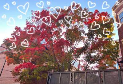 Cover image for ‘1-2-3, A.D. Tree, That’s How Easy Love Can Be’