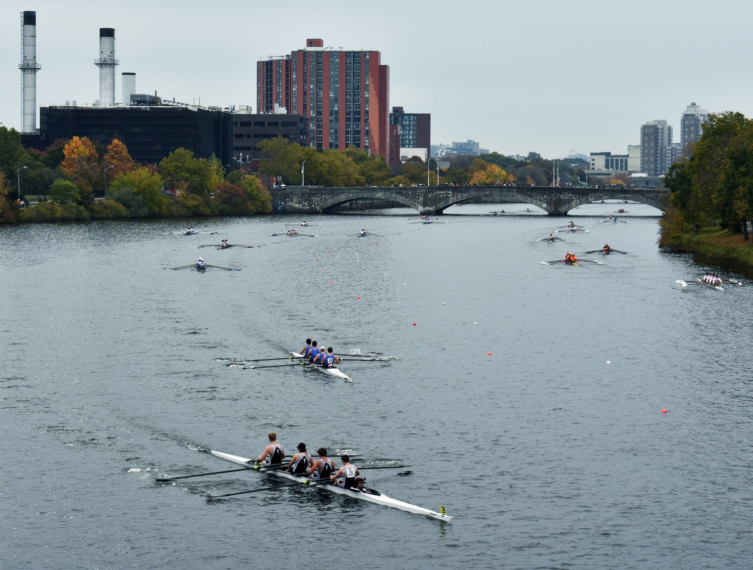Teams from all around the world compete every year in the Head of the Charles, the largest rowing competition in the world.