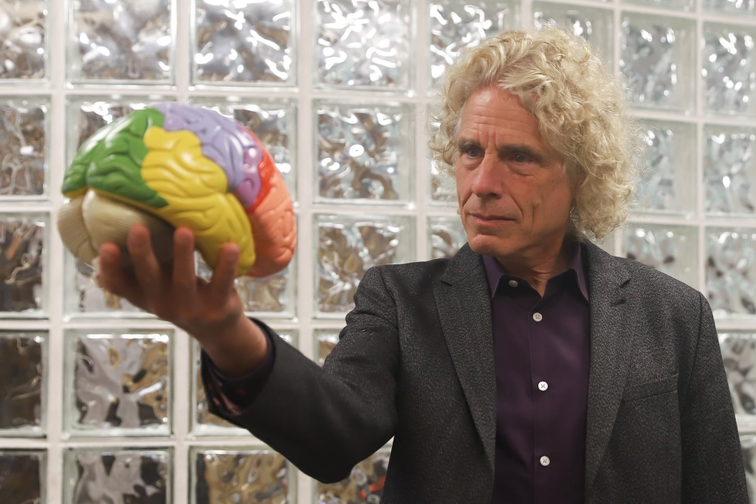 Psychology professor Steven A. Pinker is a co-lead of the Council on Academic Freedom at Harvard.