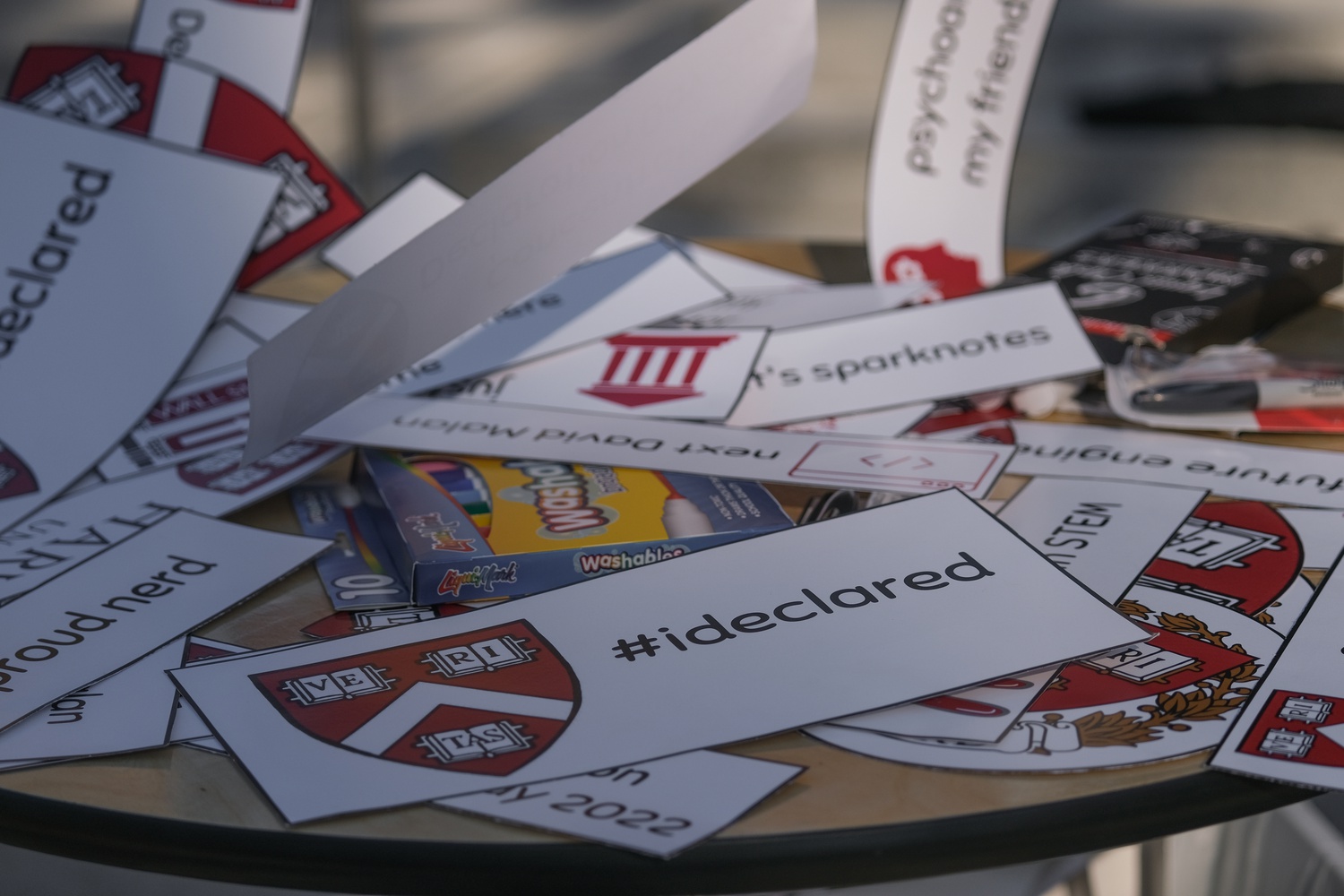 Themed placards were available for use in photo ops at Friday's windy Declaration Day Event.
