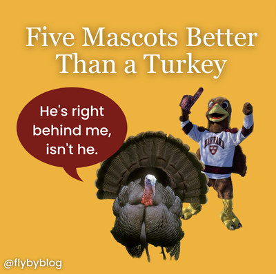 Cover image for 5 Better Mascots Than a Harvard Turkey