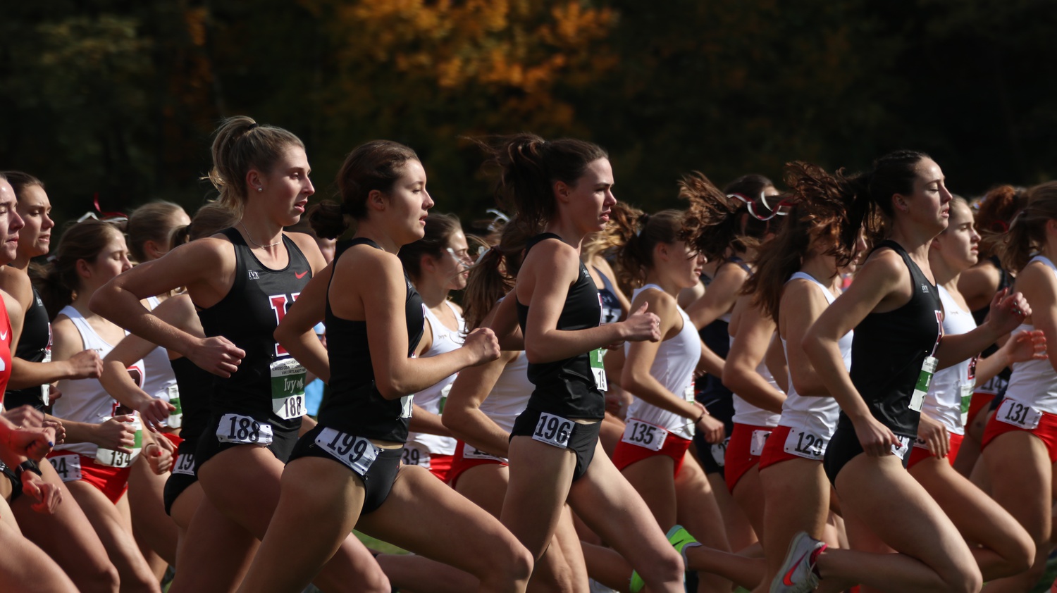 Harvard runners compete in the Ivy League Heptagonal Championships on Oct. 28. In that event, the women won the conference while the men came second. Led by junior Maia Ramsden and sophomore Graham Blanks, the Crimson continued its success last weekend in the National Championships.