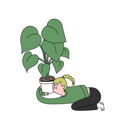 Cover image for An Ode to Dorm Houseplants