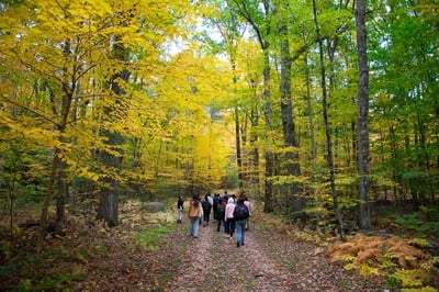 Cover image for We Aren’t Too Old for Field Trips