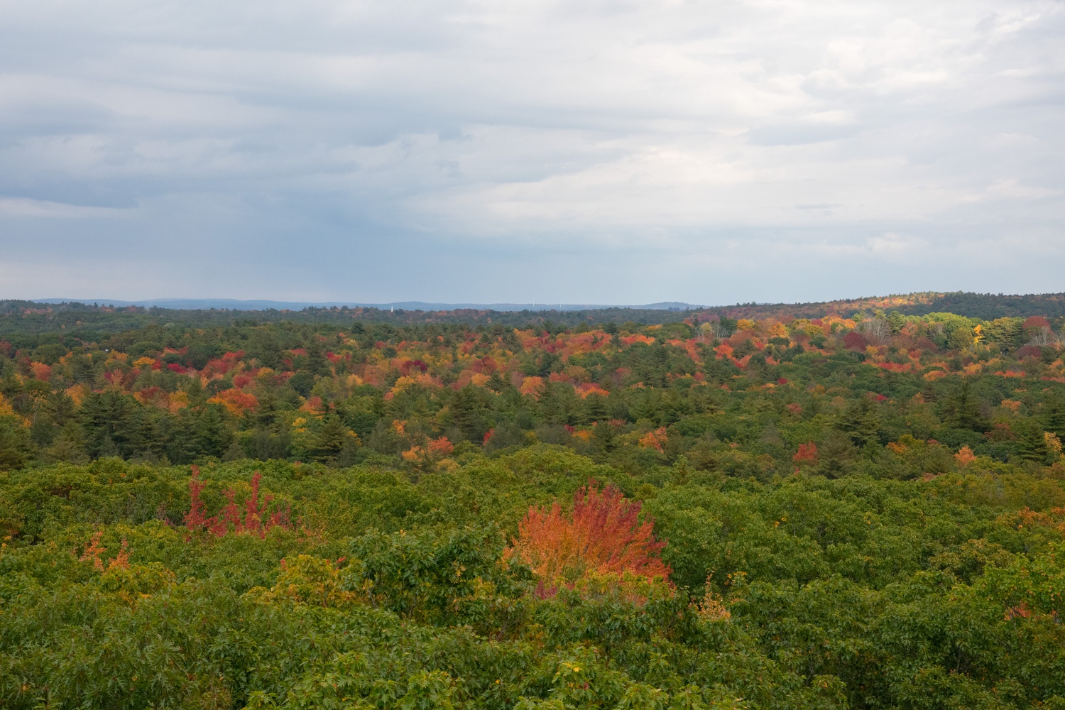 Harvard's Salata Institute is sponsoring six student-led climate projects in a pilot program.