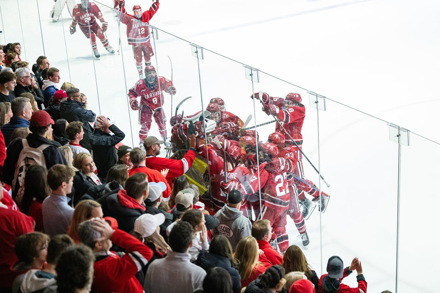 The crowd at Lyna Rink gets a close-up look at a Crimson huddle in a game against Cornell on Friday, Dec. 2. Harvard won 2-1 in a fierce matchup that went to overtime.