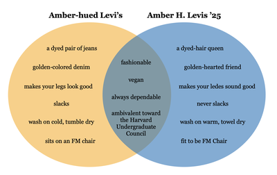 Cover image for Amber Venn Diagram