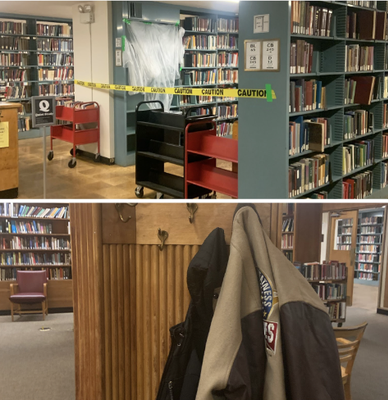 Cover image for Flyby Tries: Sleepover in Lamont Library