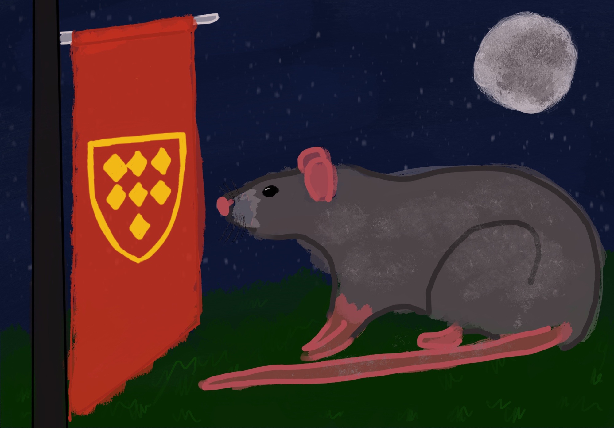 ‘These Are Smart Mice’: Some Harvard Quincy Residents Plagued by ...