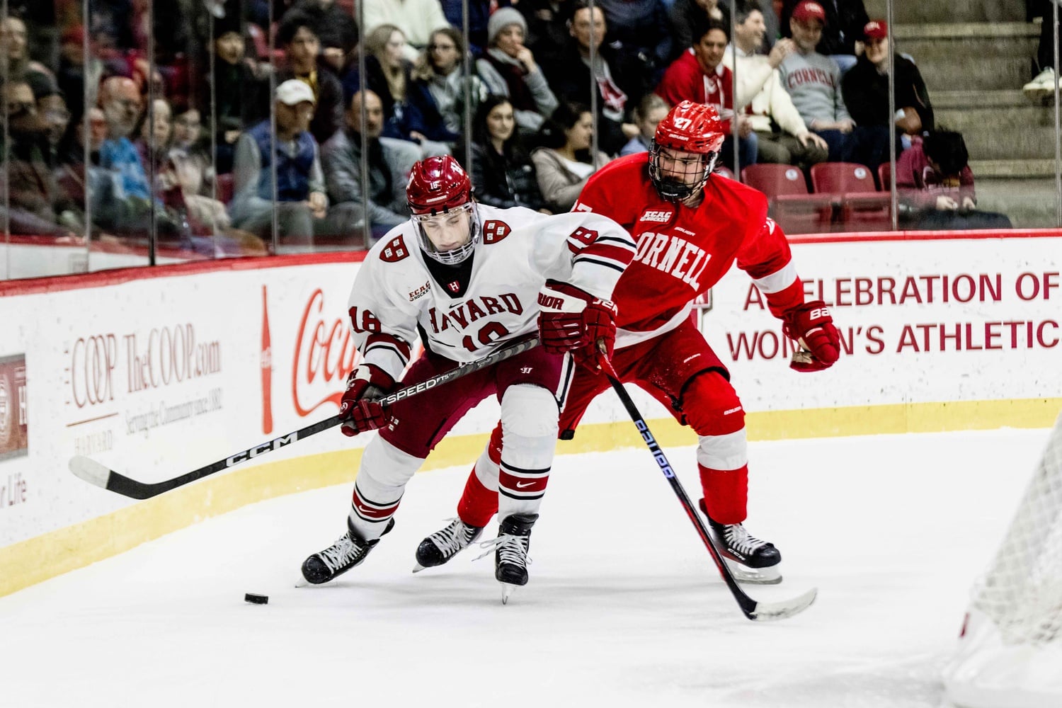 Junior forward Alex Laferriere shields the puck from the defense against the Cornell Big Red on January 28.