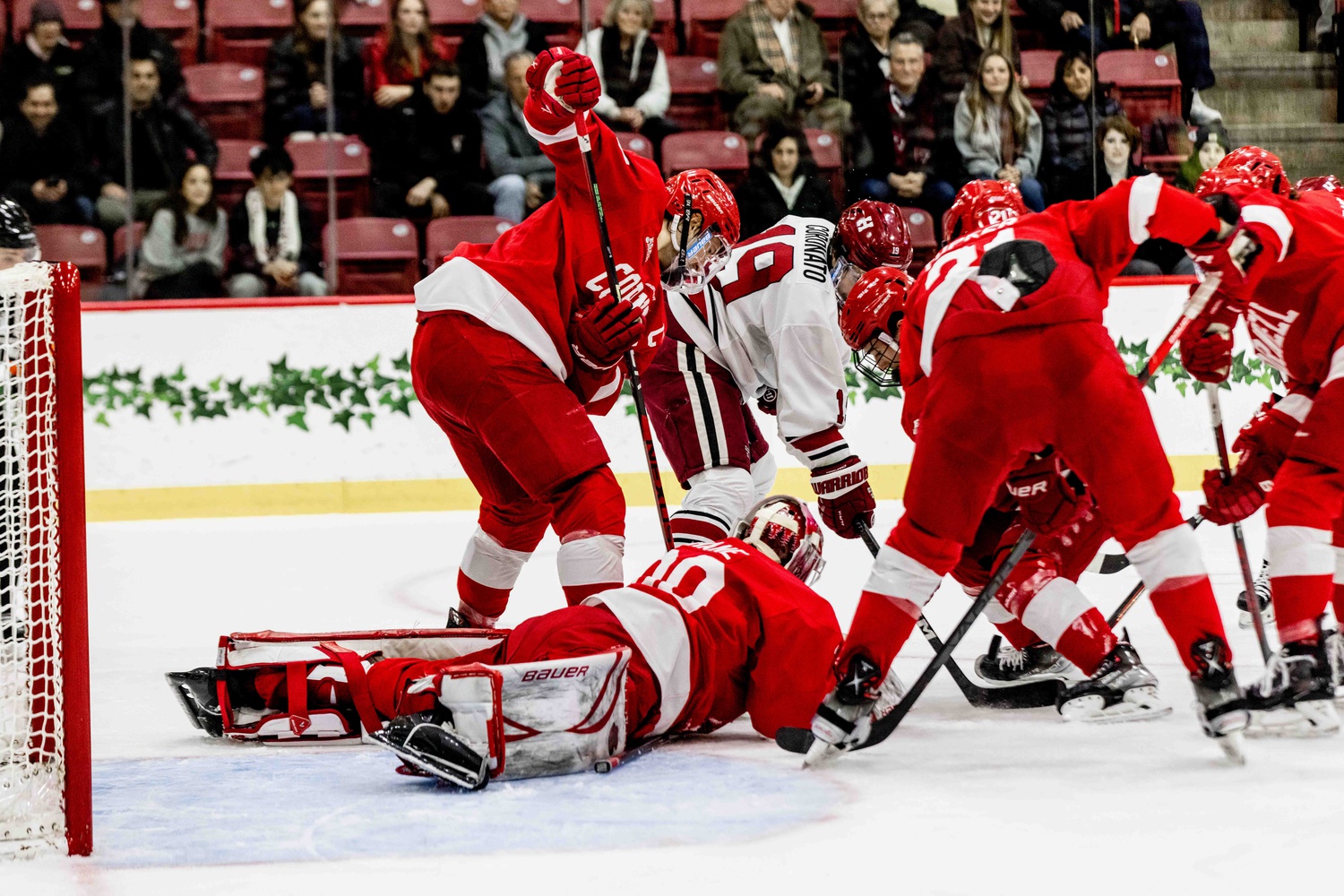 Sophomore forward Matthew Coronato battles for a loose puck in the crease against Cornell on January 28.