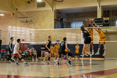 Cover image for Sweep or Be Swept: Harvard Men’s Volleyball Swept in Back-to-Back 3-0 Losses