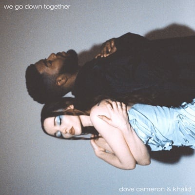 Cover image for "We Go Down Together" Cover Image