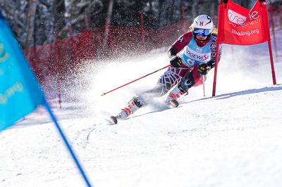 Cover image for Upwards Trends on Downhill Slopes for Harvard Skiing