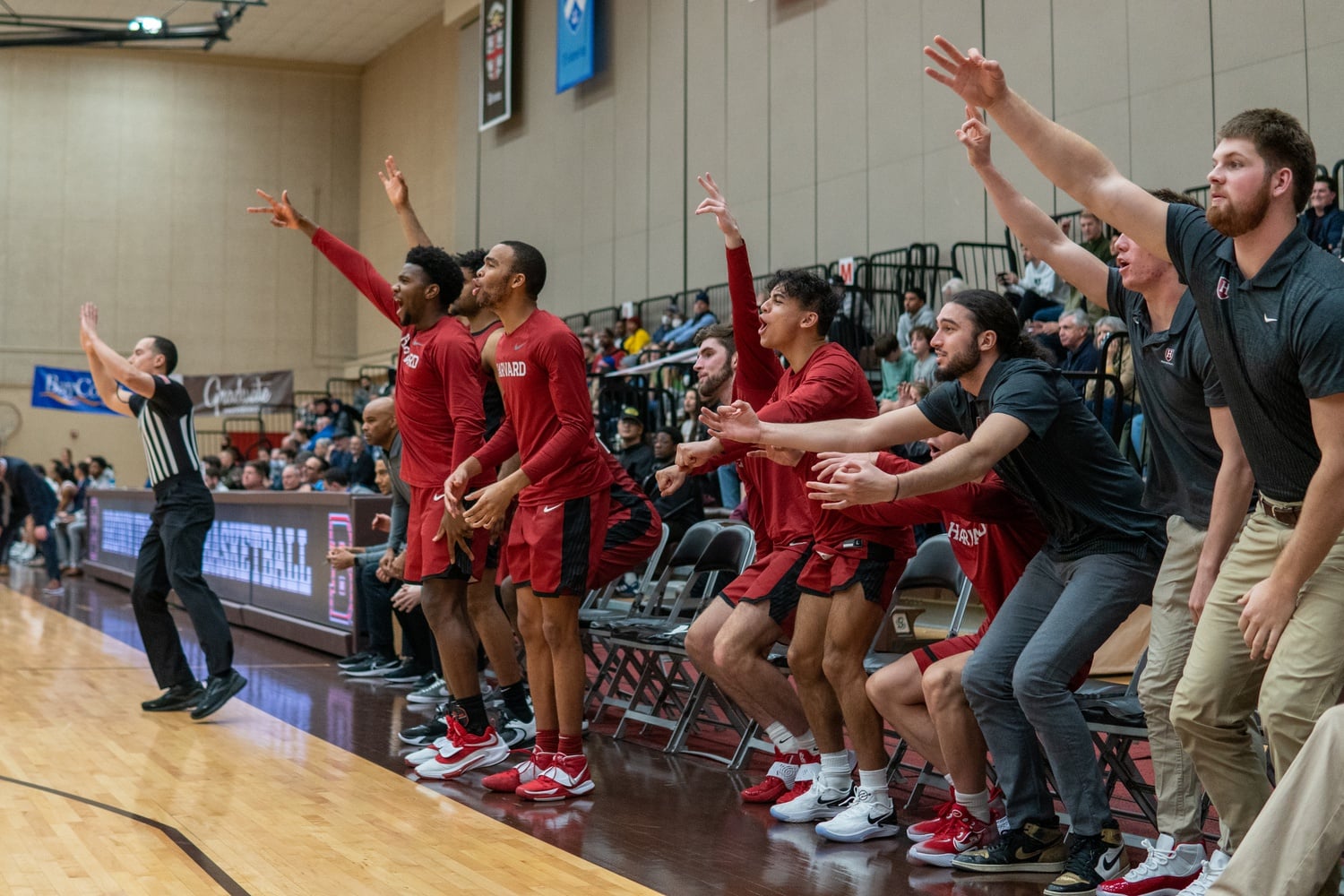 The Harvard bench reacts to the action against Brown on January 6.
