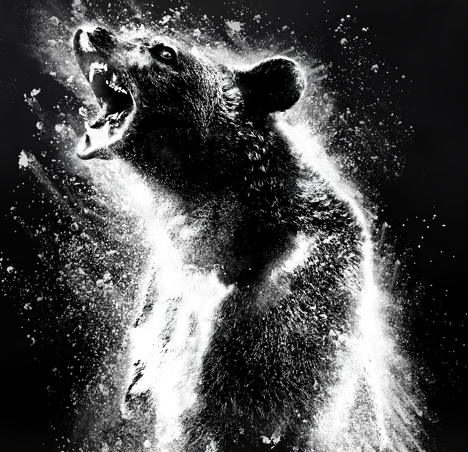 'Cocaine Bear' directed by Elizabeth Banks