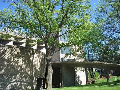 Cover image for Carpenter Center for the Visual Arts