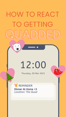 Cover image for How to (and how not to) Respond to Getting Quadded