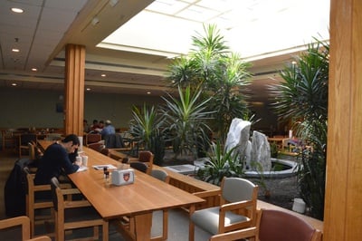 Cover image for Currier Adds New Interhouse Dining Restrictions to Mitigate ‘Overwhelming Workload’ for HUDS Staff