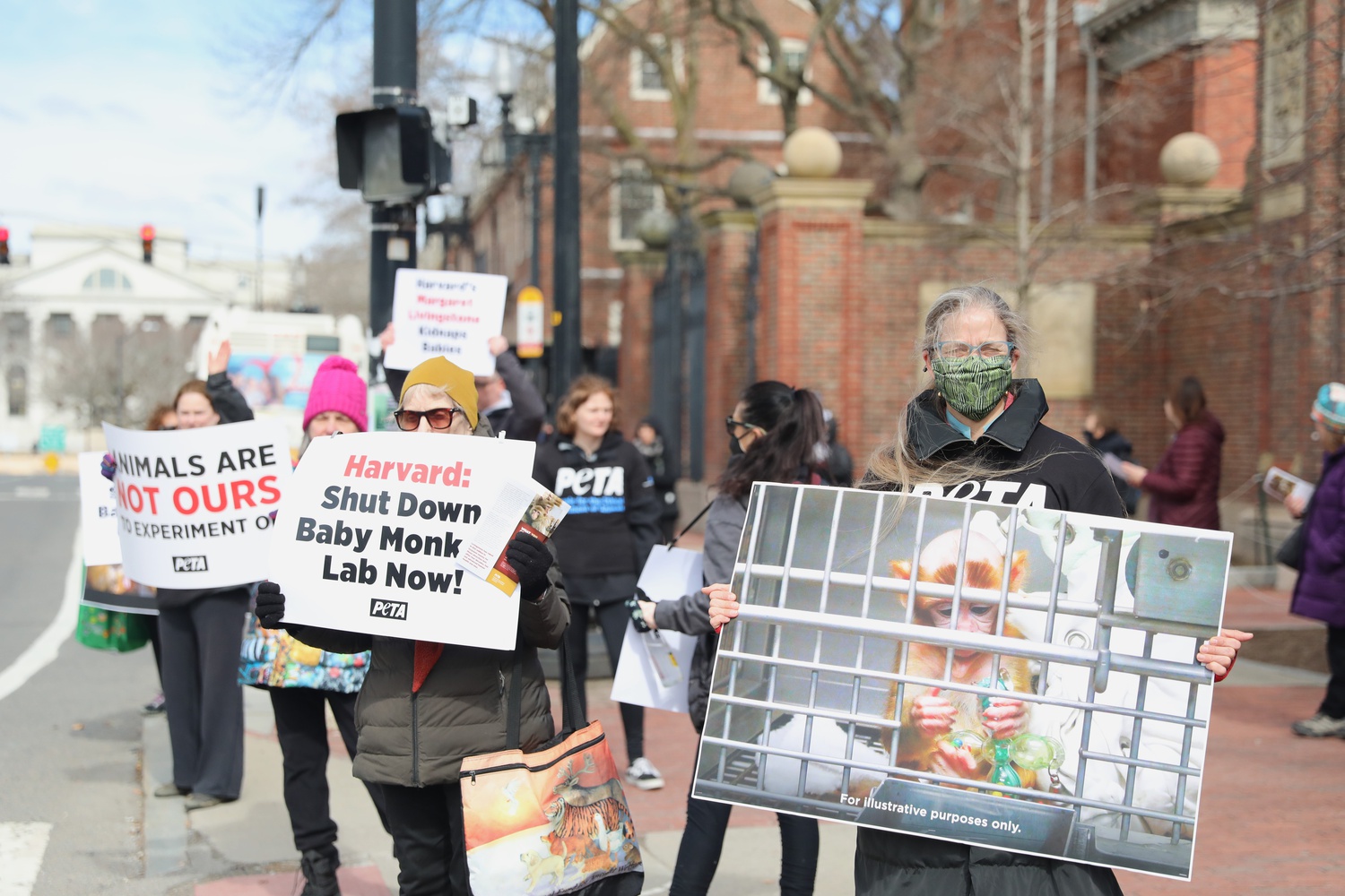 Protesters affiliated with PETA hold signs calling for the closure a Harvard Medical School lab for its nonhuman primate experiments during a March demonstration outside of Johnston Gate.