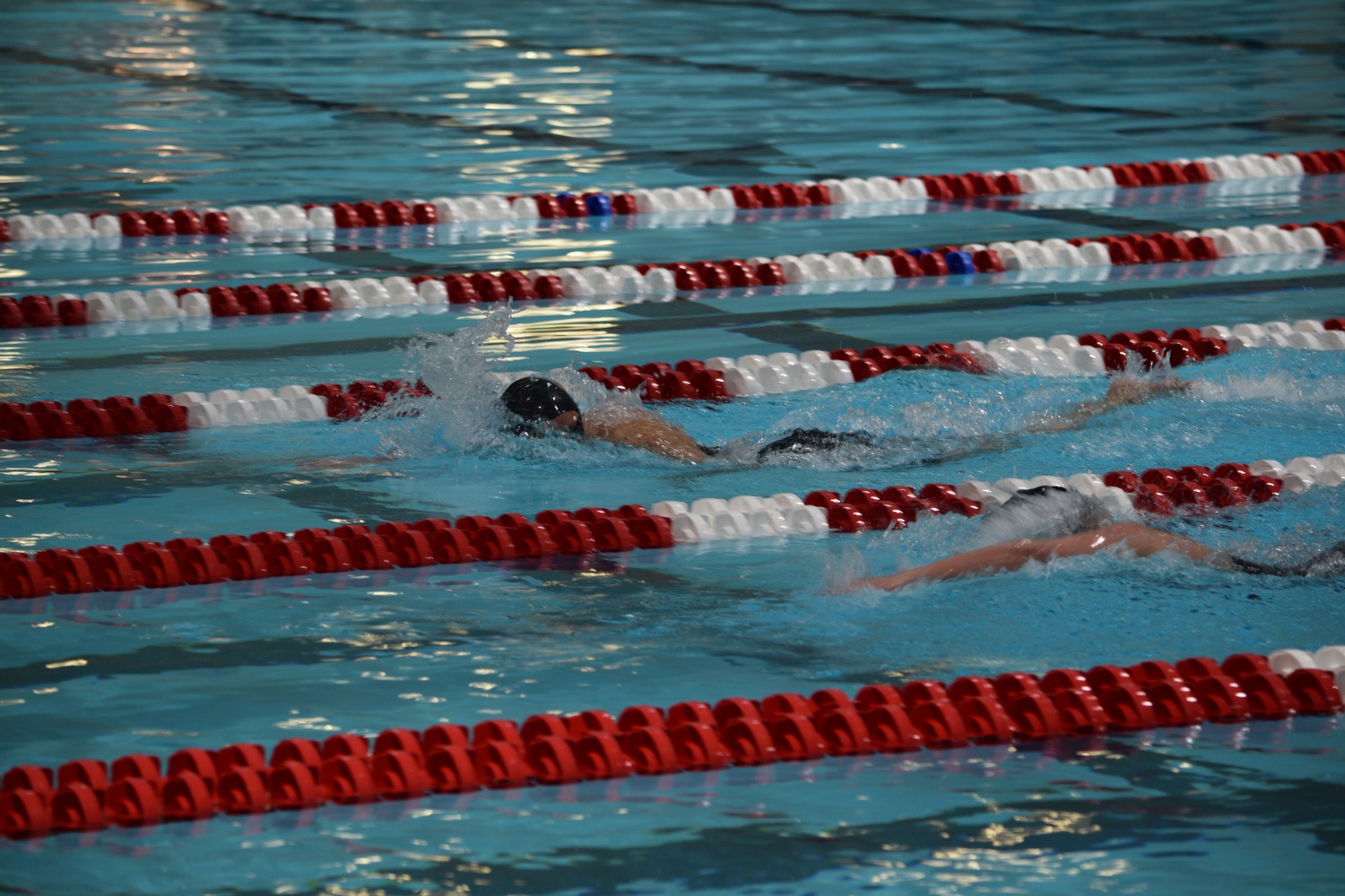 Harvard, Yale, and Princeton race towards a narrow finish at the HYP meet on January 28.