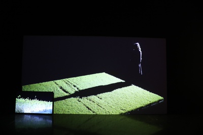 Cover image for BioArt Grows in Popularity (And on its Own)