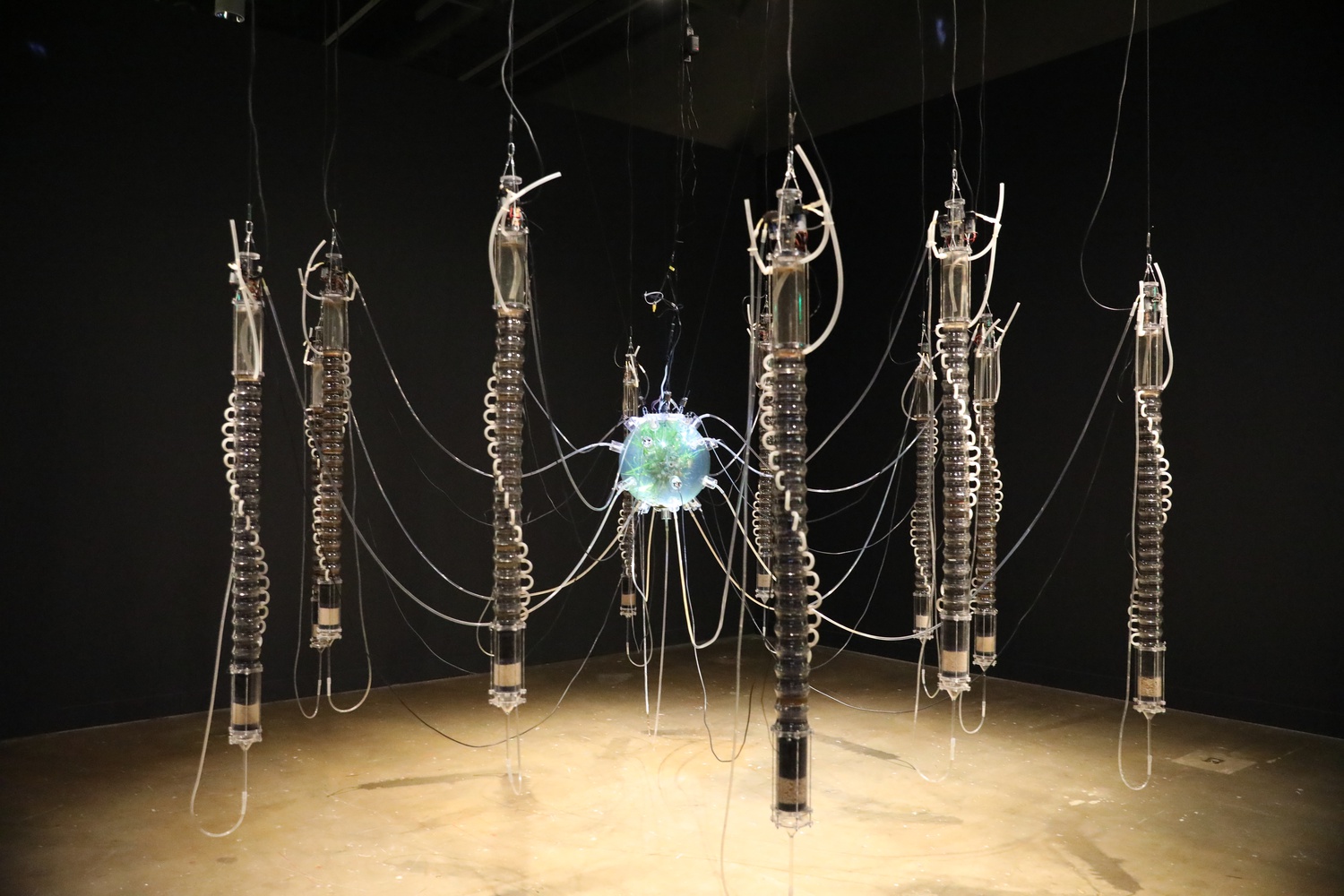 Gilberto Esparza, "Plantas autofotosinthéticas (Autophotosynthetic Plants)," 2013–14. Courtesy of the artist and Gladstone Gallery.