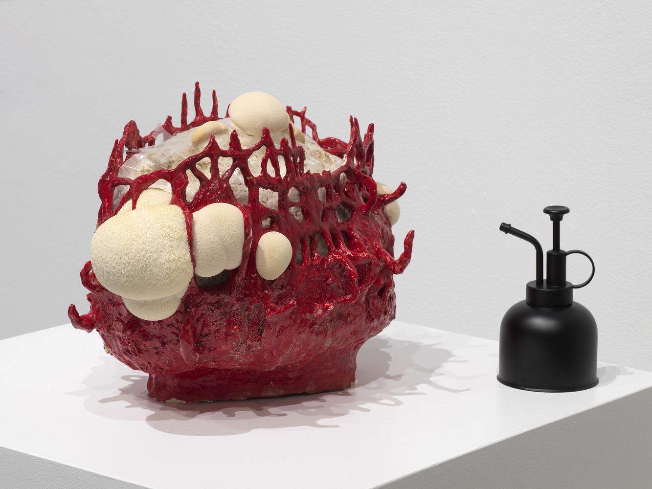 Candice Lin, "Memory (Study #2)," 2016. Installation view: Symbionts: Contemporary Artists and the Biosphere, MIT List Visual Arts Center, Cambridge, 2022. Photo: Dario Lasagni