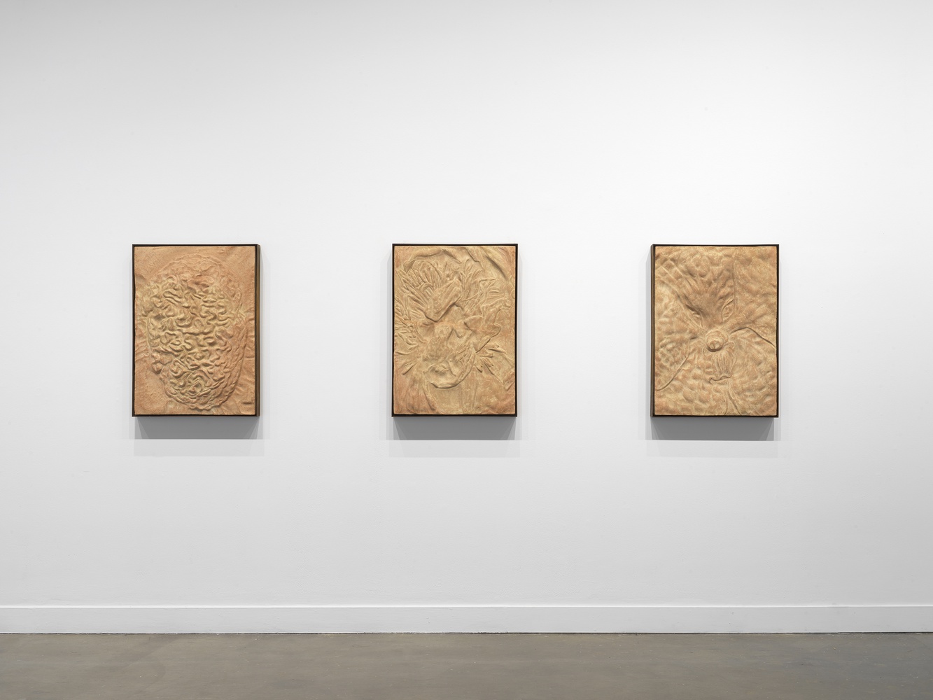 "Gut Flora (Cerebrobacillus)," "Gut Flora (Lactogalaxius)," "Gut Flora (Glossococcus)," 2022. Installation view: Symbionts: Contemporary Artists and the Biosphere, MIT List Visual Arts Center, Cambridge, 2022. All works courtesy of the artist. Photo: Dario Lasagni