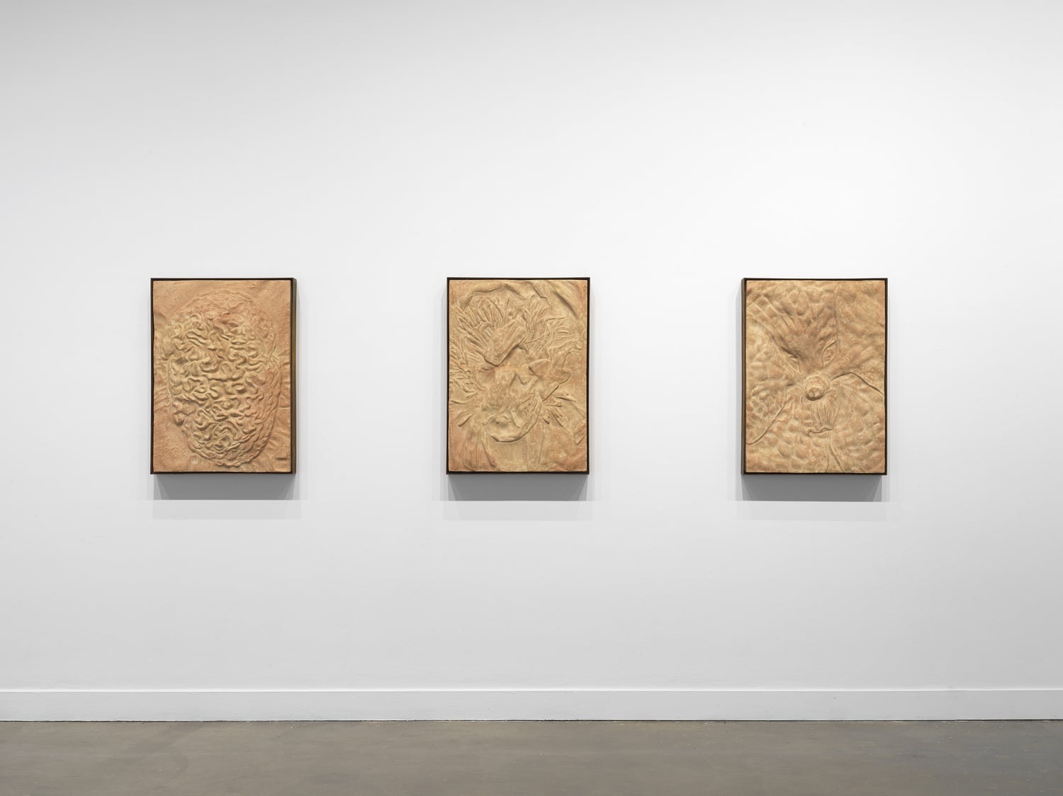 "Gut Flora (Cerebrobacillus)," "Gut Flora (Lactogalaxius)," "Gut Flora (Glossococcus)," 2022. Installation view: Symbionts: Contemporary Artists and the Biosphere, MIT List Visual Arts Center, Cambridge, 2022. All works courtesy of the artist. Photo: Dario Lasagni