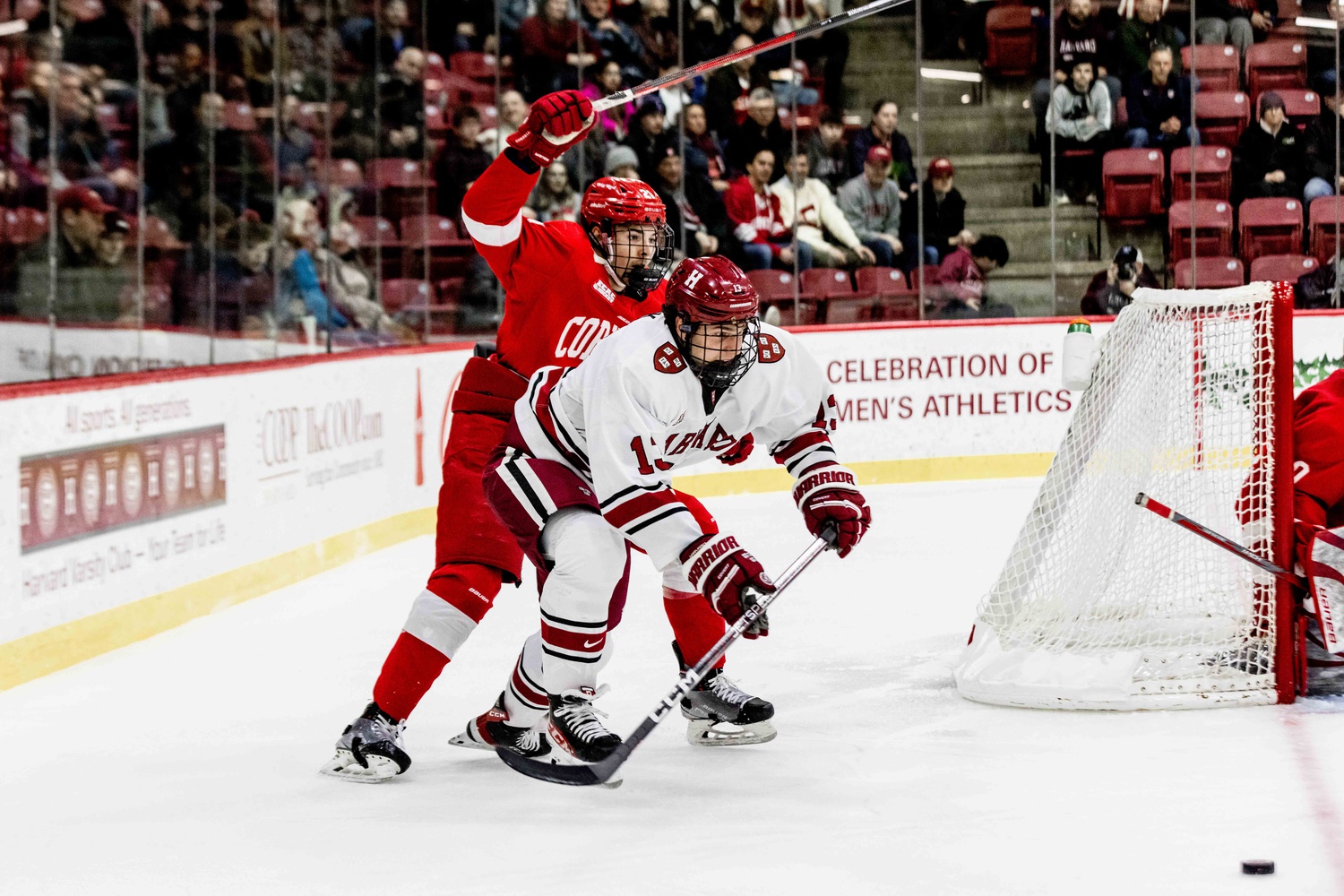 First-year forward Marek Hejduk wards off the Cornell defense at Bright-Landry Hockey Center on January 28.