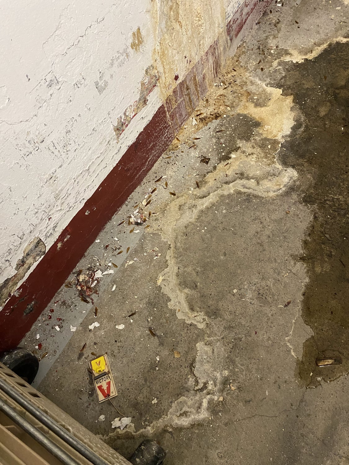 Today, the lack of attention and resources from Harvard has let the HUDS tunnels fall into a gloomy disrepair.