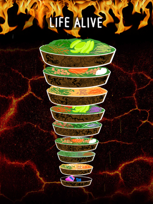 Cover image for Surviving Life Alive