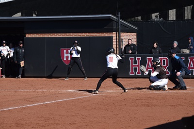 Cover image for Harvard Softball Batters Brown Bears, Dials in for Midseason Matchups