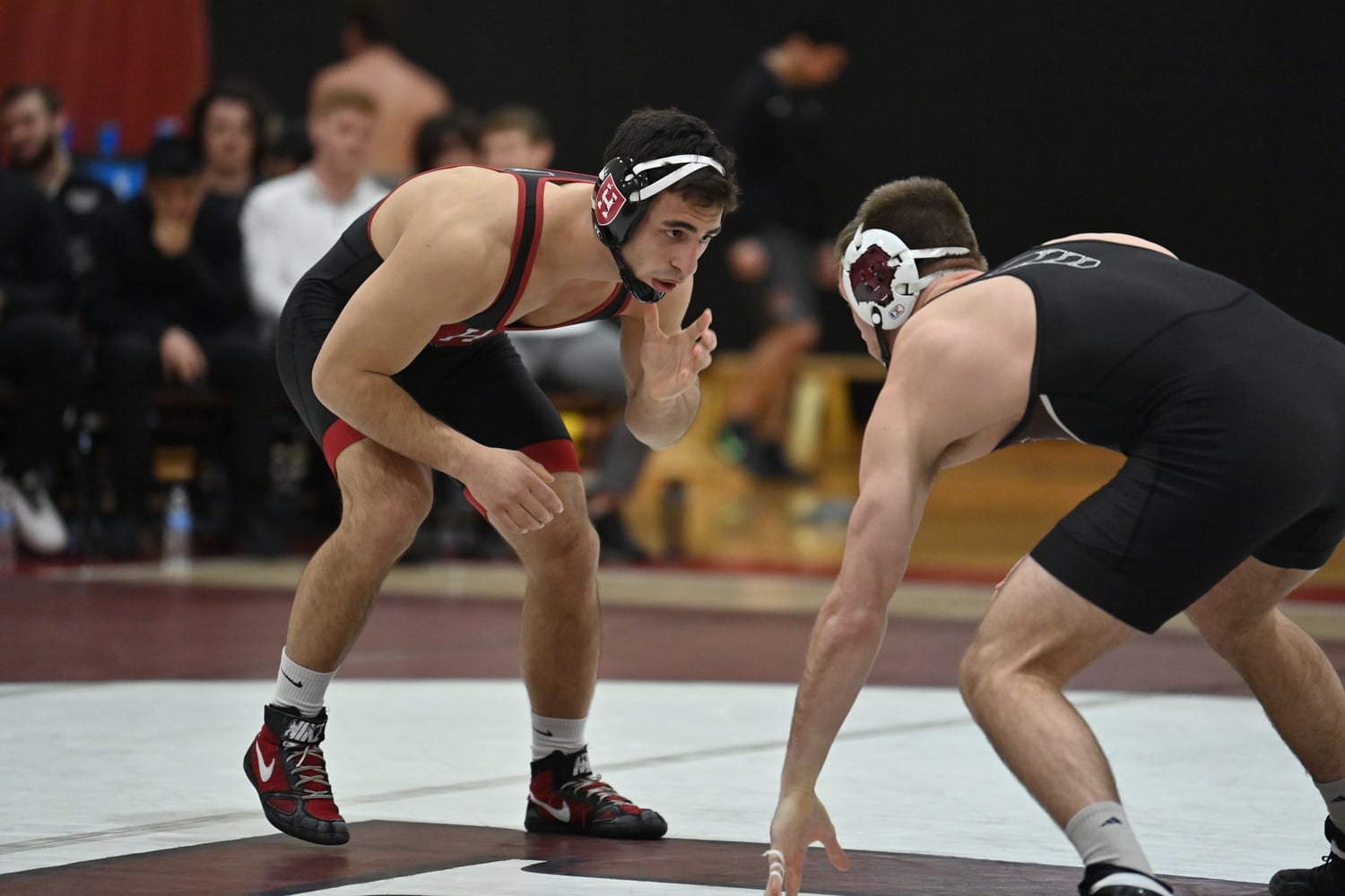Junior Leo Tarantino locked in a major decision at 184 lbs in Harvard's Feb. 17 match against Brown. The Crimson went on to win the match 32-10.